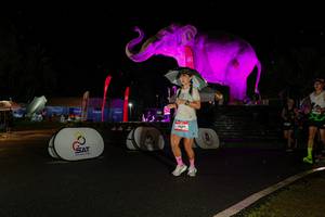 BIB: 
                            <button type="button" onclick="openModal(26542791)" class="btn btn-primary btn-sm float-right btn-popup" data-toggle="modal" data-target=".modal-high-quality">
                        <i class="fas fa-shopping-cart"></i> Add to Cart
                    </button>
                                            <button type="button" onclick="isThisMe(26542791, true)" class="btn btn-success btn-sm float-right btn-popup btn-isme hidden" data-toggle="tooltip" data-placement="bottom" title="นี่คือรูปของคุณใช่ไหม คลิกที่นี่เพื่อเอาเข้าอัลบั้ม">
                        <i class="fas fa-plus"></i> Add to album
                    </button>
                    <button type="button" onclick="isThisMe(26542791, false)" class="btn btn-warning btn-sm float-right btn-popup btn-isnotme hidden">
                        <i class="fas fa-ban"></i> Remove from album
                    </button>